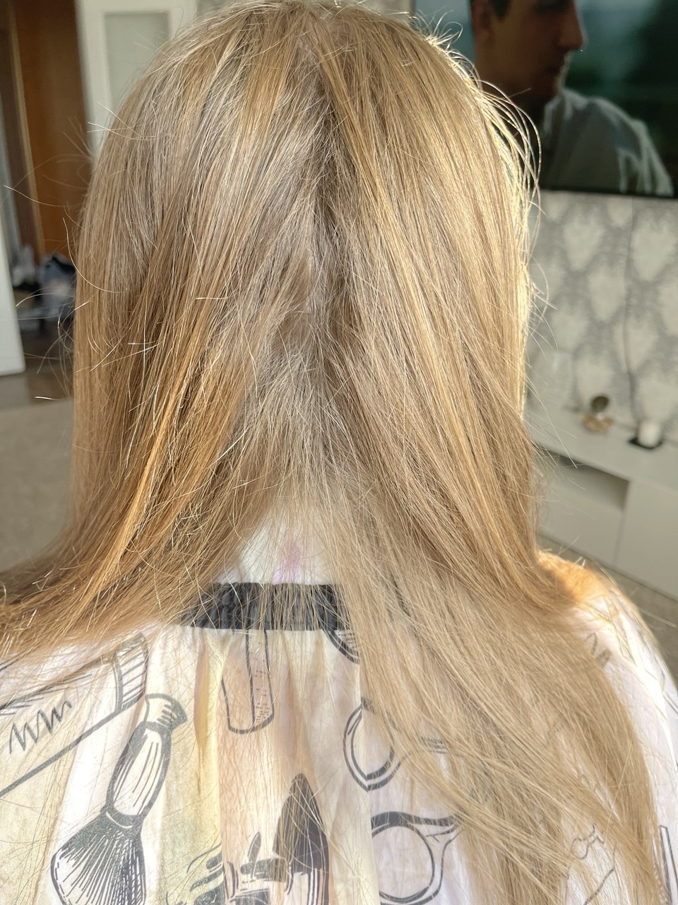 Волосы до восстановления и полировки